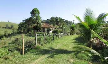 Imagem 2: Fabio Paes Imóveis - Fazenda a venda com 15.5 alq (75.02 ha), terra boa e muito boa de águ