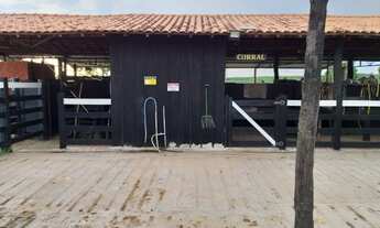 Imagem 7: Fazenda de 319ha em a 40km de Cuiabá em N.S do Livramento