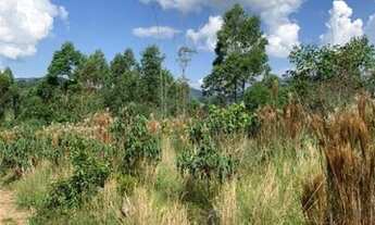 Imagem 5: Terreno para plantação