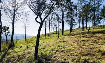 Imagem 4: Lote/Terreno para venda tem 1000 metros quadrados em Barreiro - Mairiporã - SP