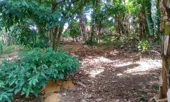 Imagem 4: Vende ou troca terreno