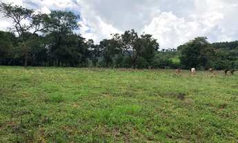 Imagem 5: LINDO TERRENO 10.000m2 C/ ÁGUA CORRENTE E LUZ EM ITAGUARA/MG