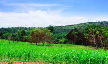 Imagem: Vendo Terrenos de 20.000m² na Região do