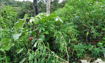 Imagem 2: Colônia Chácara com venda por R$20.000