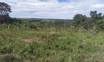 Imagem 6: Chácara na região de planalmira-go!