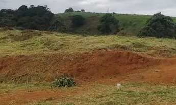 Imagem 5: Lotes com escritura