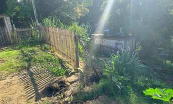 Imagem 3: Lote jardim de hala Cariacica