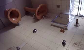 Imagem 5: Ap.Cintra Apartamento com 1 dormitório