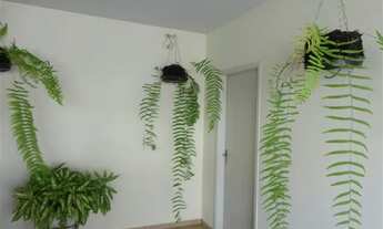 Imagem 6: Casa com 3 dormitórios à venda, 188 m² por R$ 749.000 - Centro - Vinhedo/SP