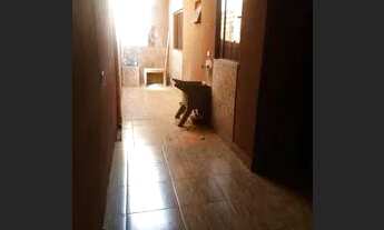 Imagem: Alugo casa em Sarandi - Jd. Aliança