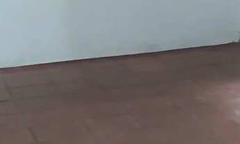 Imagem 7: Alugo casa excelente localização