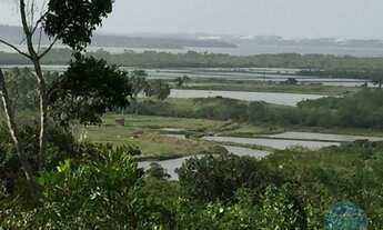 Imagem 5: TIBAU DO SUL - Terreno Padrão - Piau