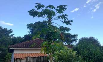 Imagem 5: Cachoeiras de Macacu Rio x Friburgo RJ 122