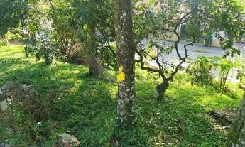 Imagem 5: Casa no Bairro Pomeranos em Timbó/SC