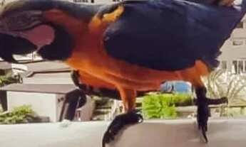 Imagem 6: Alugo apartamento em Caldas Novas