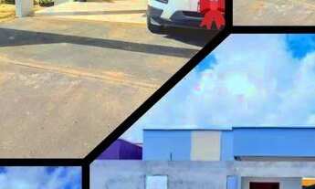 Imagem: Cada no floresta tropical