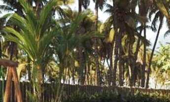 Imagem 4: Villa Carneiros Costa Mar | flats com 1, 2 ou 3 quartos