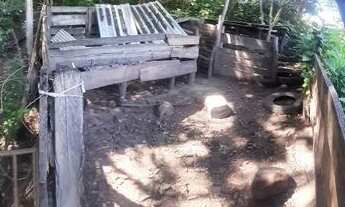 Imagem 5: Chácara a venda