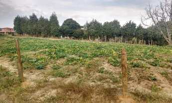 Imagem 4: Terreno 1.000 mts para chácara