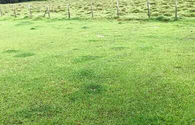 Imagem 6: VC- OPORTUNIDADE DE TERRENO PARA SÍTIO COM BOA NEGOCIAÇÃO