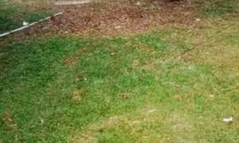 Imagem 6: Casa na Praia Casa com 2 dormitórios