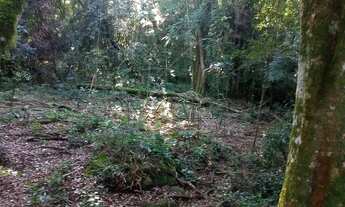 Imagem 6: Lindo sítio com cascata próximo de Gramado