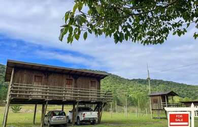 Imagem 5: Fazenda/Sítio/Chácara para venda com 24 mil metros quadrados, tem Lagos, Tirolesa, casa
