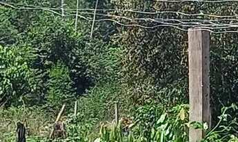 Imagem 6: Sitio muitas fruteira 100×600