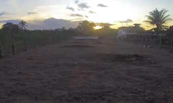 Imagem 6: Terreno 12.50x por 60