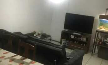 Imagem: Apto no terra nova