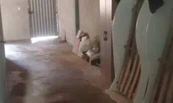 Imagem 4: Casa a venda Casa com 3 dormitórios