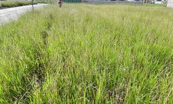 Imagem 4: Condomínio veredas dos Campos