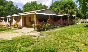 Imagem: CHÁCARA Á 20KM DE BOA VISTA BR174