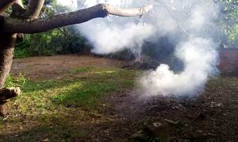 Imagem 4: Casa e lotes Casa com 3 dormitórios