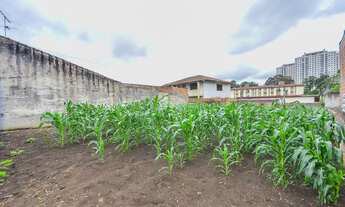 Imagem 4: Terreno murado e desocupado ZR4