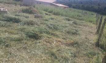 Imagem 3: Terreno em Jaboticatubas/MG