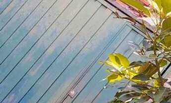 Imagem 3: Casa venda area verde