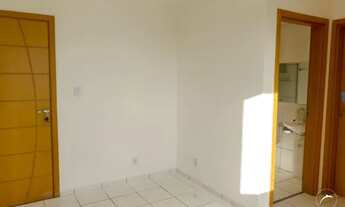 Imagem 3: Samambaia (Norte