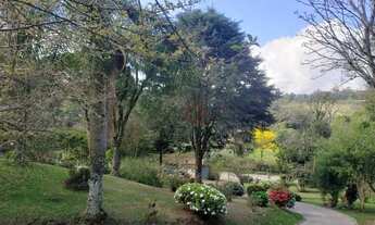 Imagem 4: Casa na Linha Tapera em Gamado!