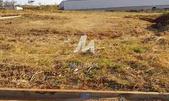 Imagem: Terreno (terreno normal