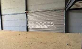 Imagem 7: Galpão para aluguel, Novo Mundo - Uberlândia/MG