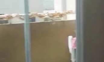 Imagem 6: Aluguel de apartamento