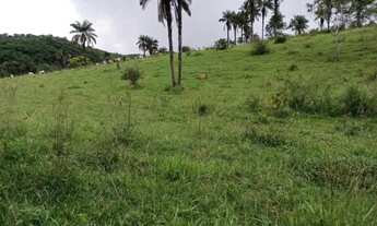 Imagem 6: Fazenda Capão Preto - Tiros - MG