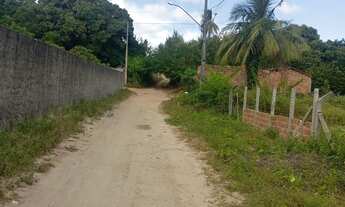 Imagem 5: Terreno na pitanga