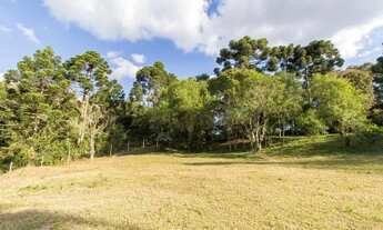 Imagem 6: Chácara 20.400m² - Campo Largo da Roseira em SJP