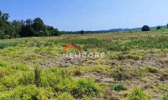 Imagem 6: Sítio em Praça da Bandeira - Área Rural de Itapetininga - Itapetininga/SP