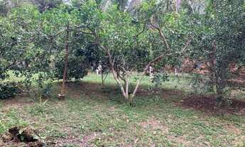 Imagem 3: Vendo Belíssimo Terreno