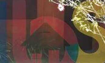 Imagem 4: Terreno com 2 chalés no alto da Pitinga