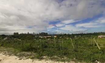 Imagem 2: Lotes à Venda no Mutirão Aramari/BA - Lote 08 - QD E - 221 m2