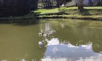 Imagem 6: Chácara com tanque, aceita permuta